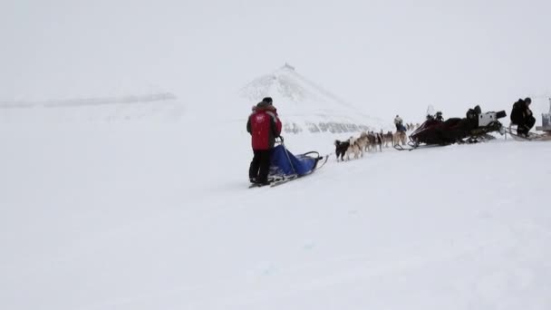 Karlı yol köpek kızağı takımda Kuzey kutup kuzey kutbunda, yolculukta insanların. — Stok video