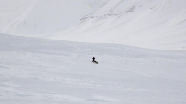 Uomo equitazione cane slitta squadra su strada bianca innevata del Polo Nord in Artico . — Video Stock