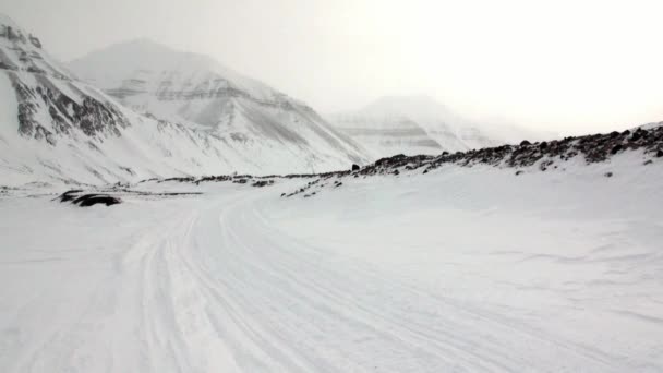 Verbazende woestijn landschap van de ijs in Noordpoolgebied. — Stockvideo