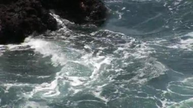 Dalgalar kenarı Galapagos Adaları.