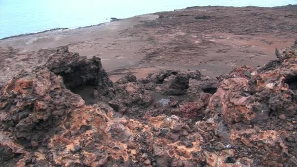 Kusten av Galapagosöarna. — Stockvideo