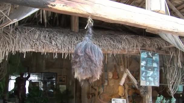 Tsatsa dried human head in hut indigenous Guarani Indians and Shuar. — Stock Video