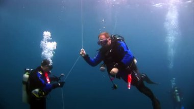 Deniz yatağının arka planında dalgıçlar suyun altında.