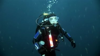 Scuba divers sualtı okul balık arka plan üzerinde.