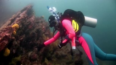 Scuba diver sualtı deniz dibinin arka plan üzerinde.