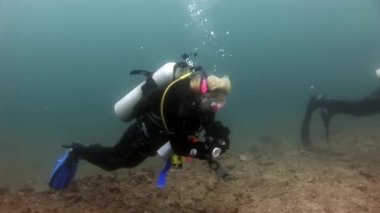 Deniz yatağının arka planında dalgıçlar suyun altında.