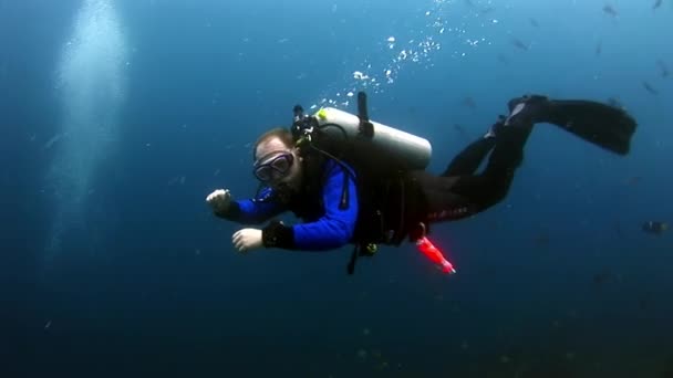 Scuba divers underwater on background of seabed. — Stock Video