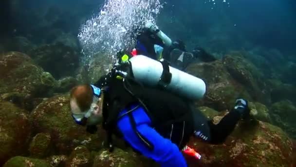 Immersioni subacquee sullo sfondo dei fondali marini. — Video Stock