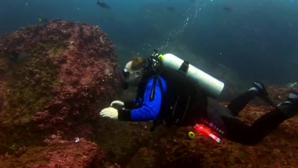 Водолази - акваланги на морському дні.. — стокове відео