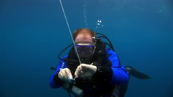 Dykkere under vandet. – Stock-video