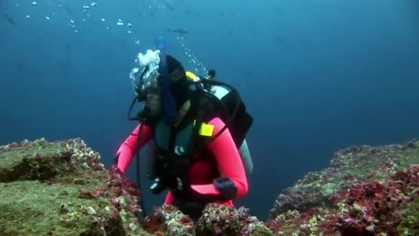 Taucher unter Wasser im Hintergrund des Meeresbodens. — Stockvideo