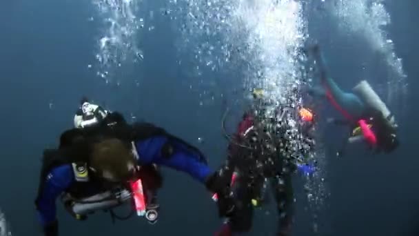 Mergulhadores subaquáticos . — Vídeo de Stock