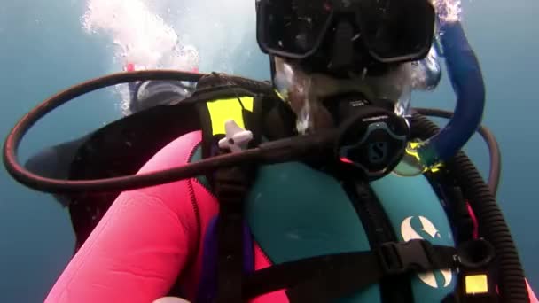 Scuba divers underwater. — Stock Video