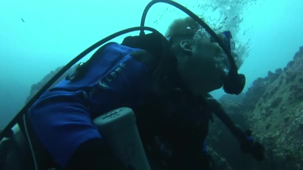 Duikers onderwater op de achtergrond van de zeebodem. — Stockvideo