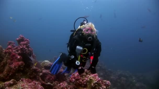 Mergulhadores submarinos no fundo do fundo do fundo do mar. — Vídeo de Stock