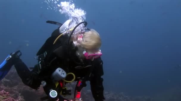 Búvárok víz alatt a tengerfenék hátterében. — Stock videók