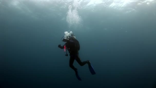 Penyelam menyelam di bawah air jurang dalam dari dasar laut . — Stok Video