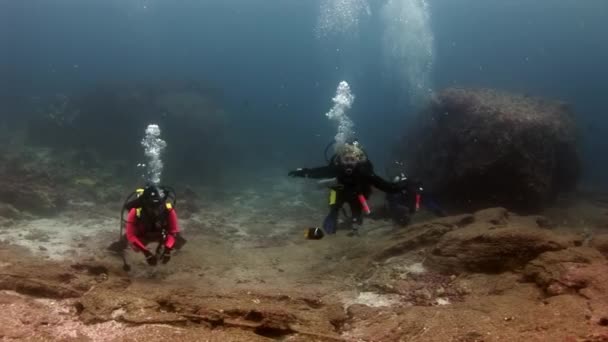 Duikers onderwater op de achtergrond van de zeebodem. — Stockvideo