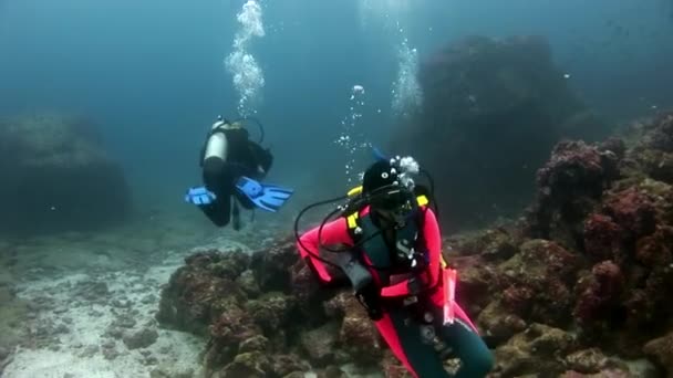 Duikers onderwater op de achtergrond van de zeebodem. — Stockvideo