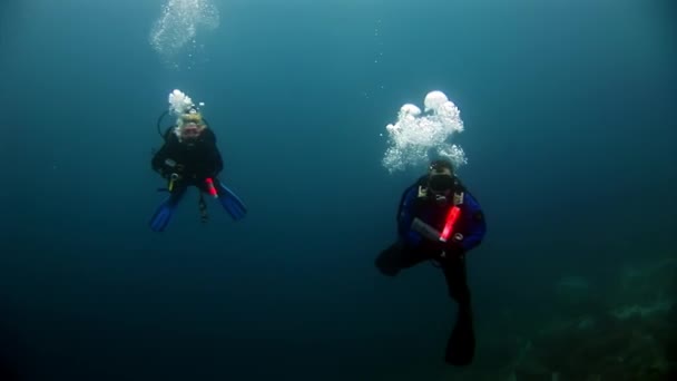 Dykare och sjöstjärnor under vattnet på bakgrund av havsbotten. — Stockvideo