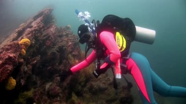 Scuba diver onderwater op achtergrond van de zeebodem. — Stockvideo