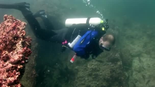 Аквалангист под водой . — стоковое видео