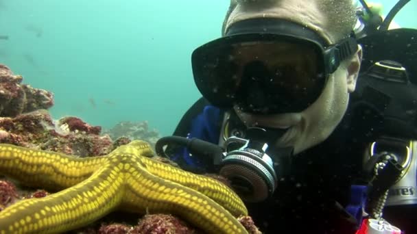 Buceadores y estrellas de mar bajo el agua sobre el fondo del fondo marino . — Vídeo de stock