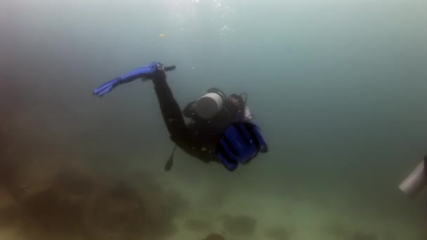 Taucher unter Wasser im Hintergrund des Meeresbodens. — Stockvideo