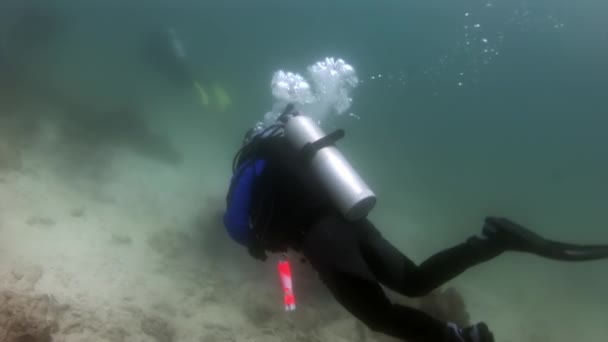Mergulhadores submarinos no fundo do fundo do fundo do mar. — Vídeo de Stock