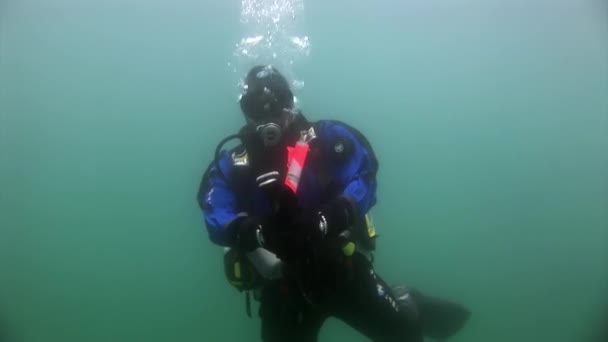 Buceadores bajo el agua en el fondo de los fondos marinos. — Vídeos de Stock