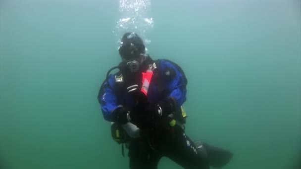 Duikers onderwater op de achtergrond van de zeebodem. — Stockvideo