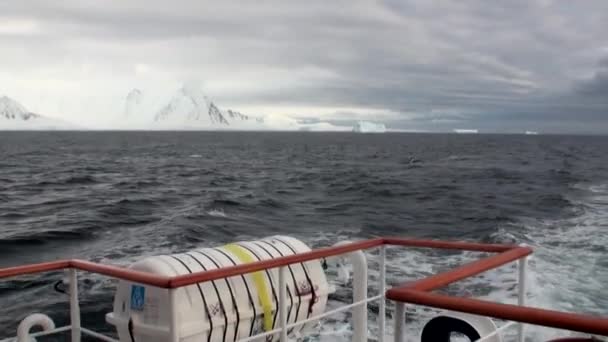 Nyomkövetési és a hullámok a hajó hajó fehér hó jég jéghegyek Antarktisz-óceán. — Stock videók