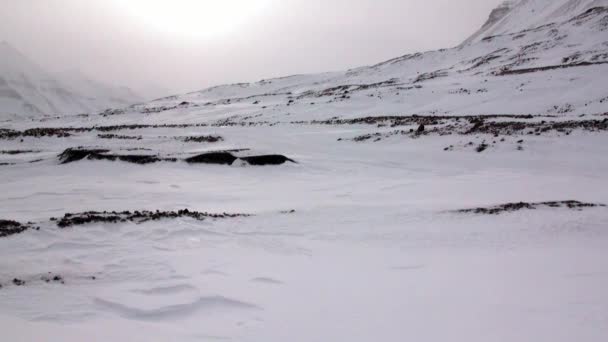 Incredibile paesaggio desertico ghiacciato nell'Artico . — Video Stock