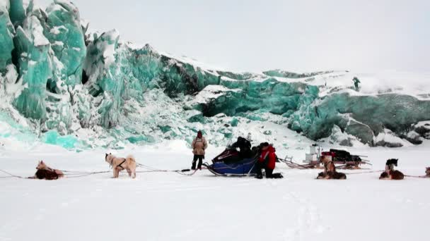 Expedição de pessoas em equipe de trenó cão husky Estrada esquimó do Pólo Norte no Ártico . — Vídeo de Stock