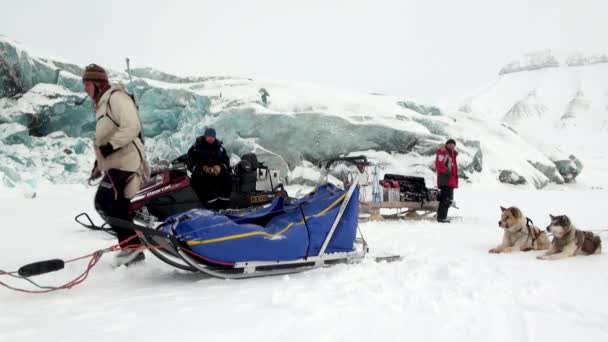 Gente expedición en trineo perro equipo husky camino esquimal del Polo Norte en el Ártico . — Vídeo de stock