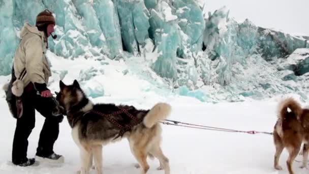 People expedition on dog sled team husky Eskimo road of North Pole in Arctic. — Stock Video