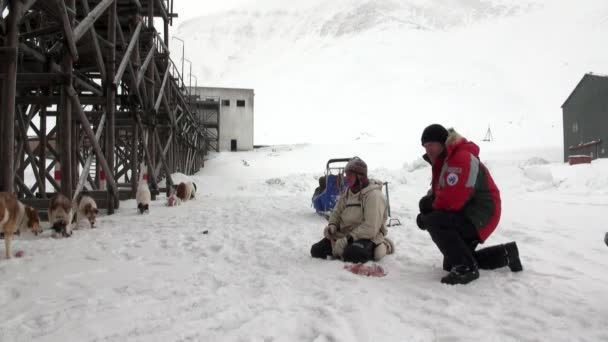 Man en hond slee team husky Eskimo wit besneeuwde weg van de Noordpool in Noordpoolgebied. — Stockvideo