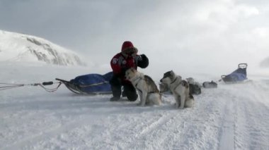 Kuzey kutup kuzey kutbunda yolda köpek kızağı takım husky Eskimo insanlar seferi.