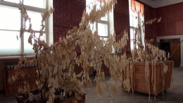 Budovy a lidé turistů v opuštěném městě destinaci Longyearbyen Špicberky Arctic. — Stock video