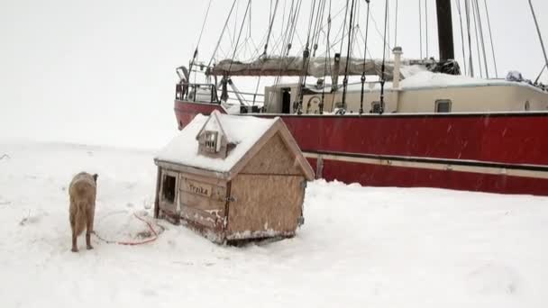 Plachetnice plachetnice Noorderlicht basecamp v Arktidě. — Stock video