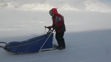 Kuzey kutup kuzey kutbunda yolda köpek kızağı takım husky Eskimo insanlar seferi.