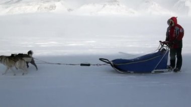 Kuzey kutup kuzey kutbunda yolda köpek kızağı takım husky Eskimo insanlar seferi.