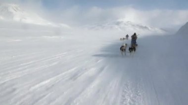 Kuzey kutup kuzey kutbunda yolda köpek kızağı takım husky Eskimo insanlar seferi.