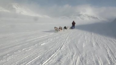Kuzey kutup kuzey kutbunda yolda köpek kızağı takım husky Eskimo insanlar seferi.
