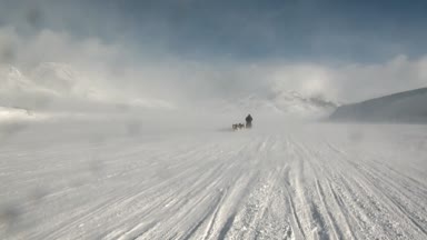 Kuzey kutup kuzey kutbunda yolda köpek kızağı takım husky Eskimo insanlar seferi.