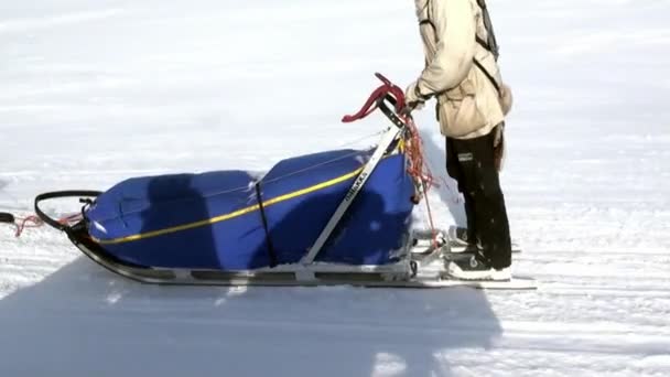 Gente expedición en trineo perro equipo husky camino esquimal del Polo Norte en el Ártico . — Vídeos de Stock