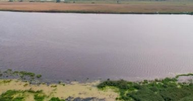 Uçan kuadkopterden Volga nehri hava görüntüsü.