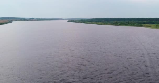 Воздух реки Волги с летающего квадрокоптера над лесом. — стоковое видео
