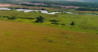 Volga Nehri havadan görünümü quadcopter orman üzerinde uçan üzerinden yakınlarında.
