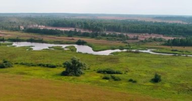 Eğimli quadcopter orman üzerinde uçan üzerinden nehir havadan görünümü.